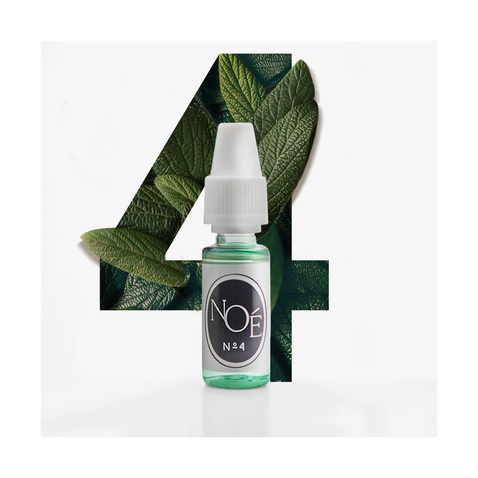 chargement de l'image